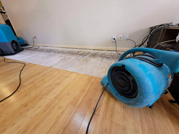 Professional Sewage Cleanup technician working in Flushing, NY